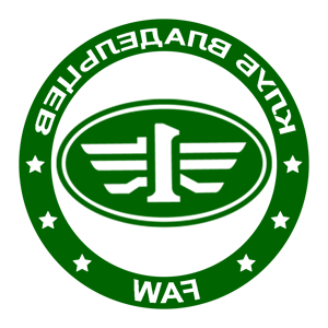        FAW -   133 .