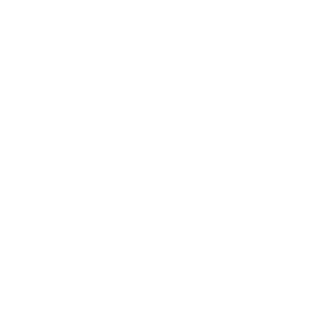    Zotye