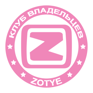    Zotye