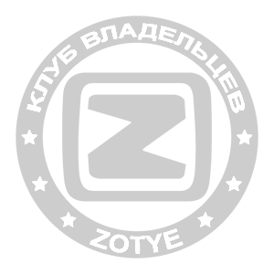    Zotye