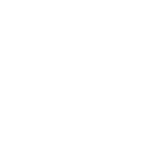   ZX Auto () -   161 .