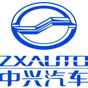   ZX Auto () -   161 .