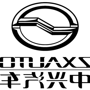      ZX Auto () -   161 .
