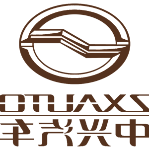      ZX Auto () -   161 .