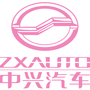   ZX Auto () -   161 .