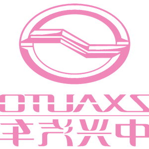      ZX Auto () -   161 .