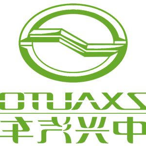    -  ZX Auto () -   161 .