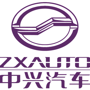   ZX Auto () -   161 .