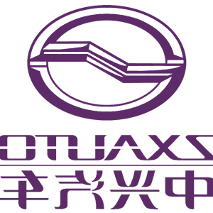      ZX Auto () -   161 .