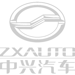 -  ZX Auto () -   161 .