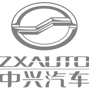   ZX Auto () -   161 .