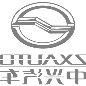      ZX Auto () -   161 .