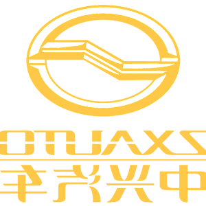      ZX Auto () -   161 .