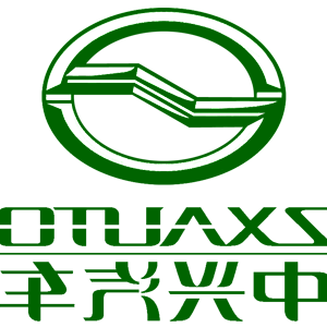      ZX Auto () -   161 .