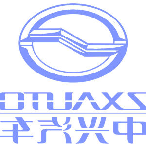      ZX Auto () -   161 .