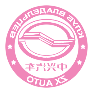        ZX Auto -   161 .