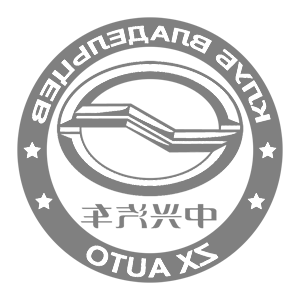        ZX Auto -   161 .
