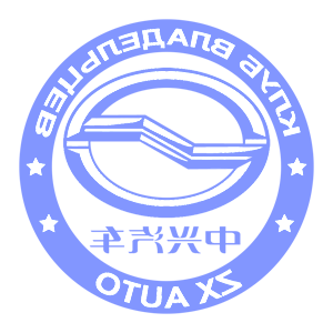        ZX Auto -   161 .