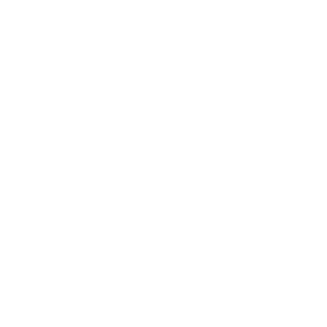     -   161 .