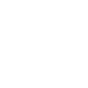        -   161 .