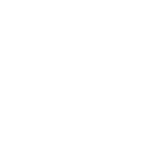        -   161 .