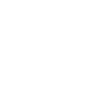    ǻ -   161 .