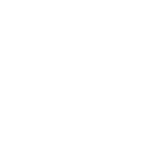      -  -   161 .