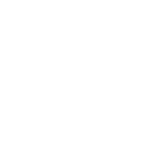          -   161 .