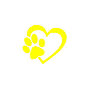       -   81 .