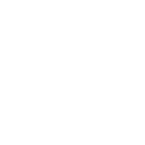    Dongfeng