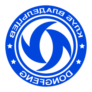        Dongfeng -   133 .