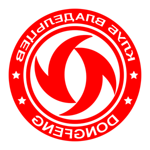        Dongfeng -   133 .