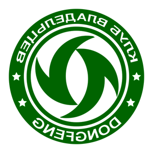        Dongfeng -   133 .