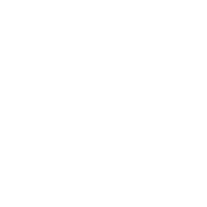       (Novoshakhtinsk) -   133 .