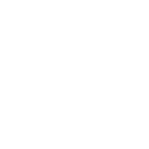       (Cherusti) -   133 .