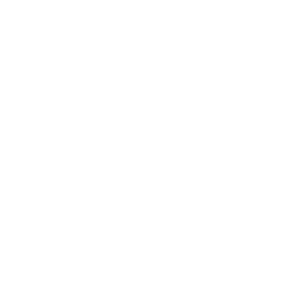       (Shimanovsk) -   133 .