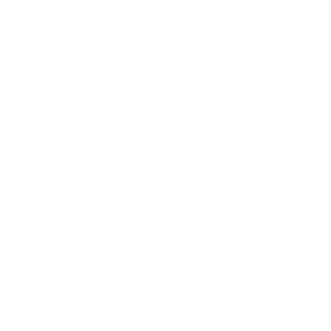      (Kovdor) -   133 .