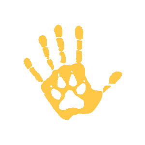         -   98 .