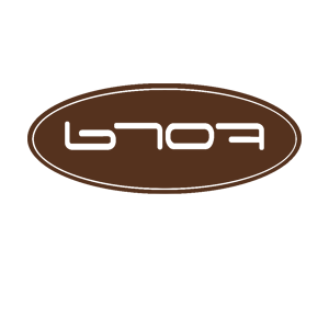      Ford logo -   42 .