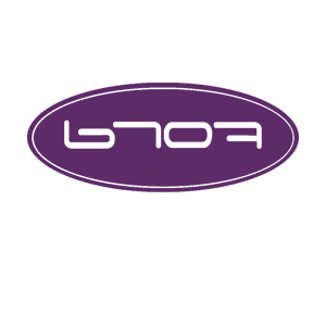      Ford logo -   42 .