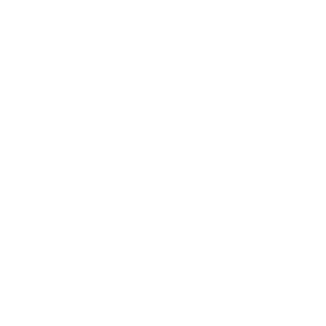      Ford logo -   42 .