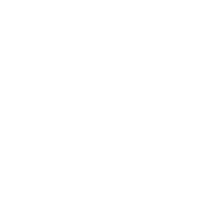      Ford logo -   42 .