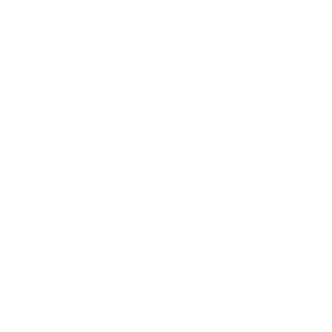       (Bobrov) -   133 .