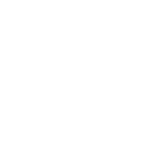      - -   161 .