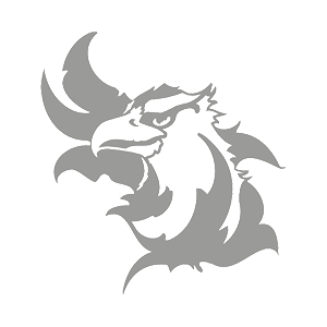    -   133 .