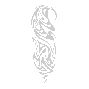    -    -   85 .
