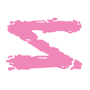       Z -   55 .