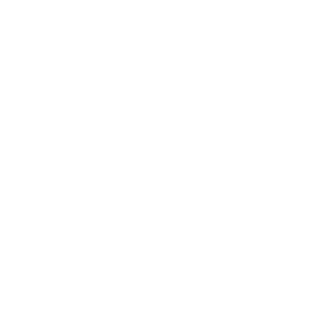       Z -   55 .