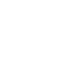        -   316 .