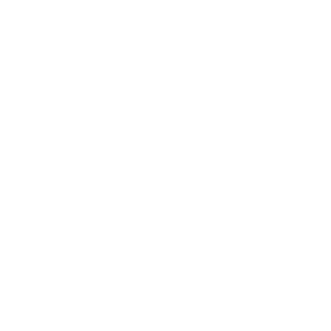      - -   131 .